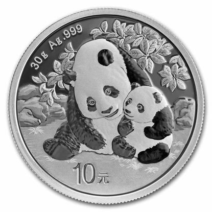 Bild von China Panda 2024, 30 g Silber